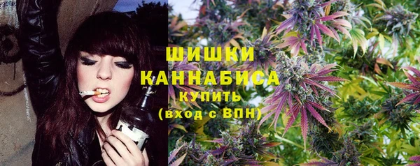 трава Лабытнанги