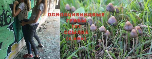 мдма Лагань