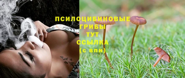 трава Лабытнанги