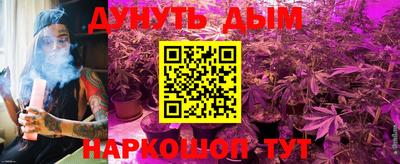 дурь Гусев