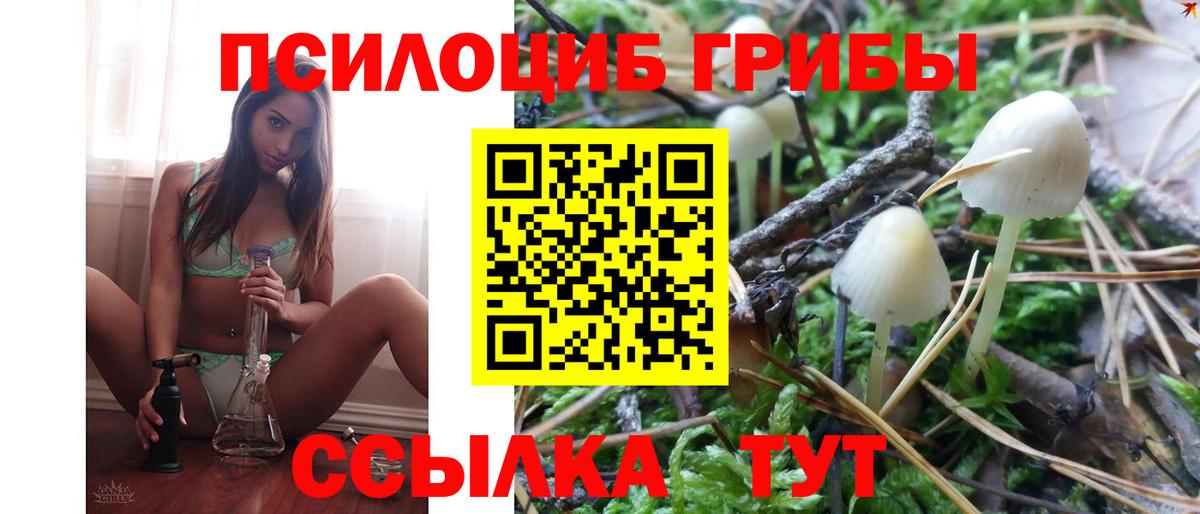 Галлюциногенные грибы MAGIC MUSHROOMS Каменск-Шахтинский